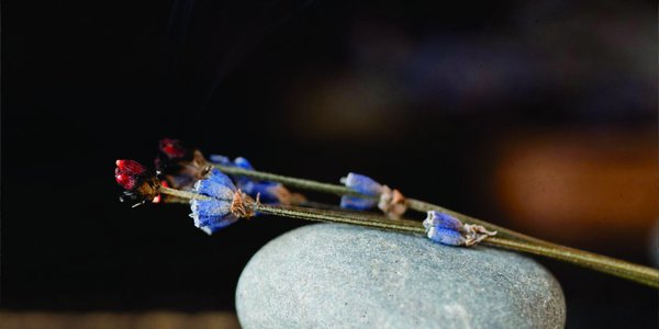 O significado do incenso na história do natal 