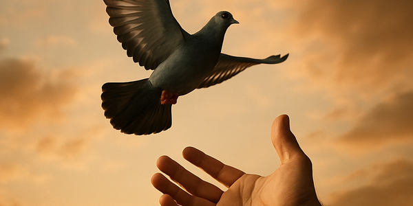 Predestinação e livre-arbítrio: o que a Bíblia realmente ensina?