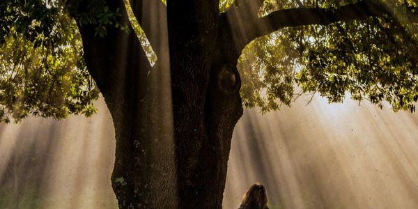 10 versículos sobre esperança para renovar suas forças no início do ano