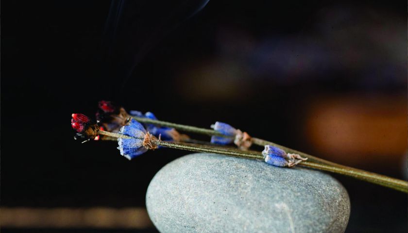 O significado do incenso na história do natal 