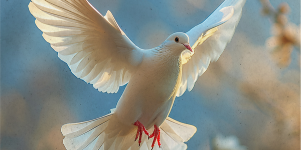 Os frutos do Espírito Santo: como cultivá-los no dia a dia?