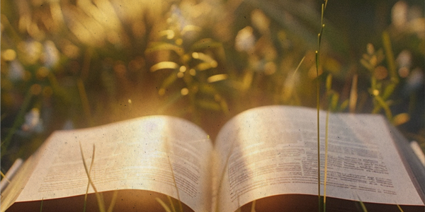 Frases de reflexão: inspire seu dia com versículos da Bíblia