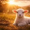 10 versículos sobre o Cordeiro de Deus na Bíblia