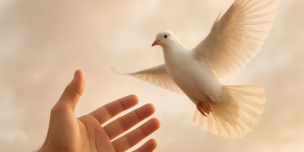 Qual é o verdadeiro significado de “carne” e “Espírito” na Bíblia?