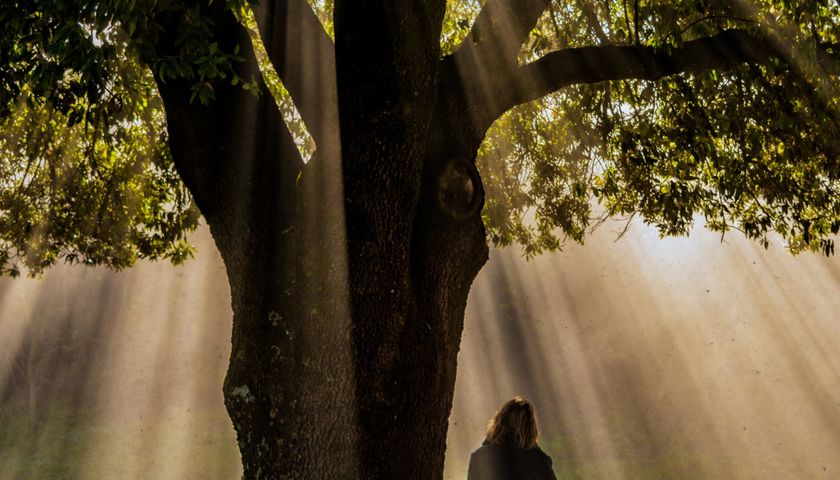 10 versículos sobre esperança para renovar suas forças no início do ano