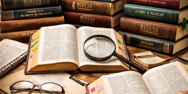 Por que existem tantas versões da Bíblia em português? entenda os motivos e as diferenças