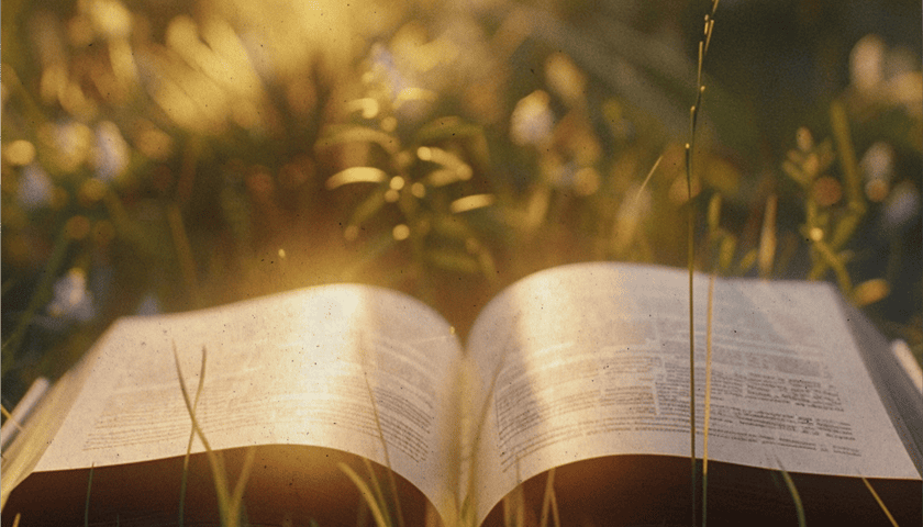 Frases de reflexão: inspire seu dia com versículos da Bíblia