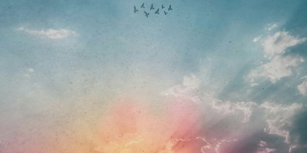 5 parábolas de Jesus e seus ensinamentos sobre o Reino de Deus