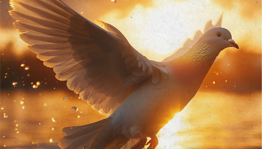 O que significa ser guiado pelo Espírito Santo?