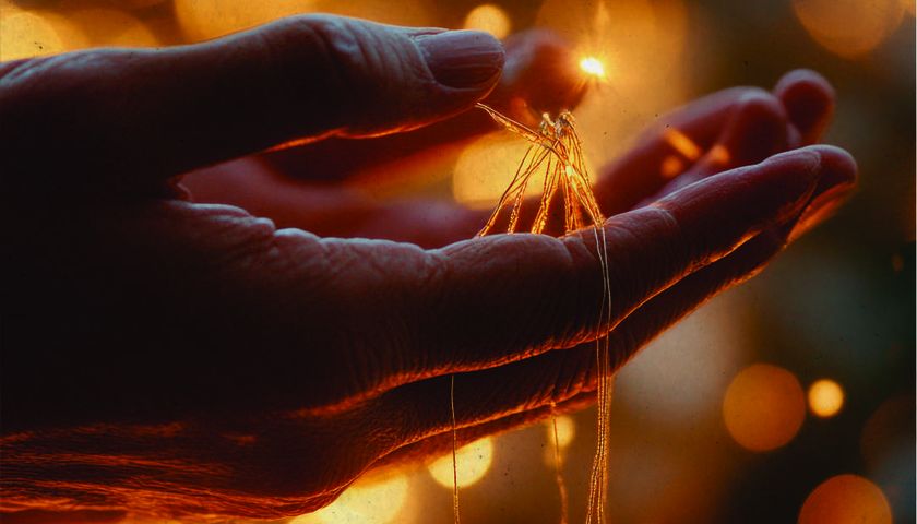 A paz de Cristo no natal: o verdadeiro significado da paz  